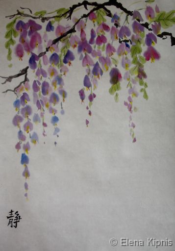 12 - Glycinien Tusche auf Reispapier, 27 x 38 cm